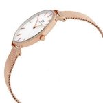 DW00100163 – lifesta watches