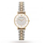 AR8031 ar watch