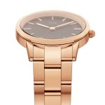 DW00100214 lifesta watches